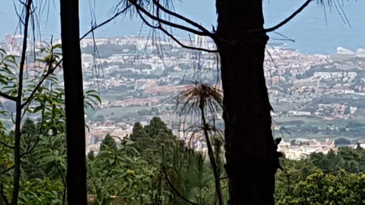 Finca La Casita La Orotava Buitenkant foto