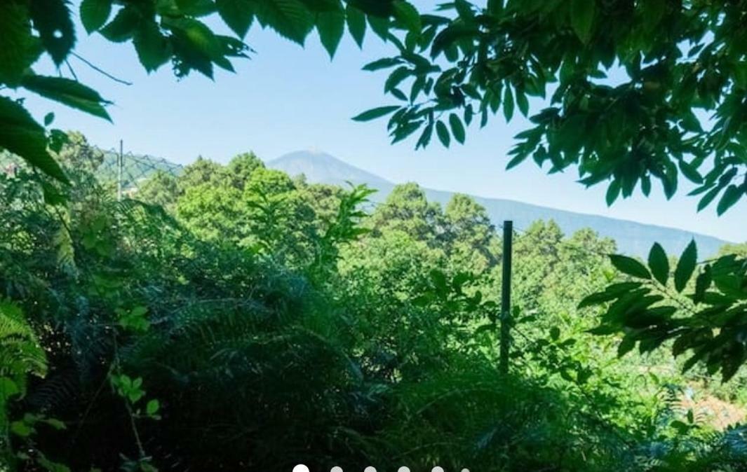 Finca La Casita La Orotava Buitenkant foto
