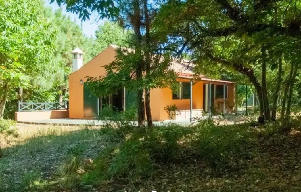 Finca La Casita La Orotava Buitenkant foto
